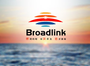 美研LOGO設(shè)計公司策劃博潤德品牌