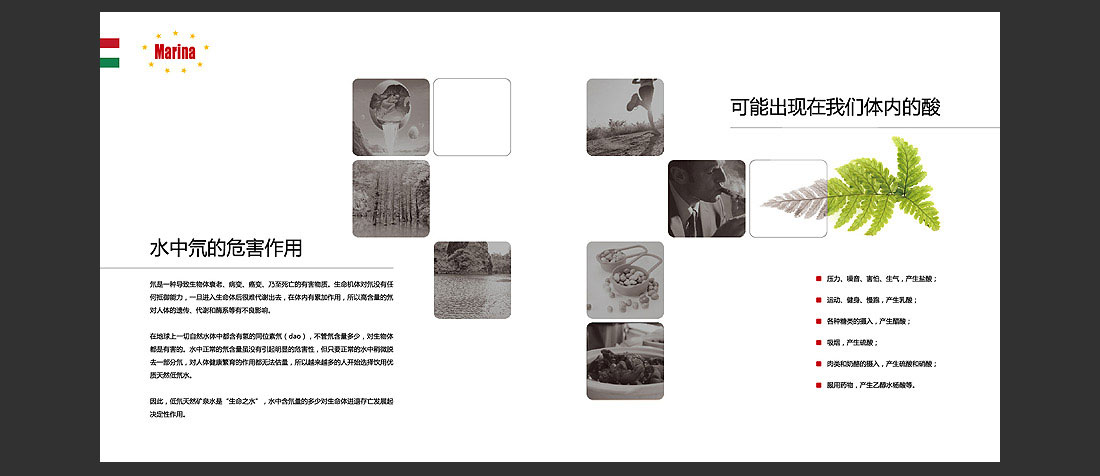 瑪麗娜產(chǎn)品宣傳冊(cè)_國(guó)外水品牌畫(huà)冊(cè)-5