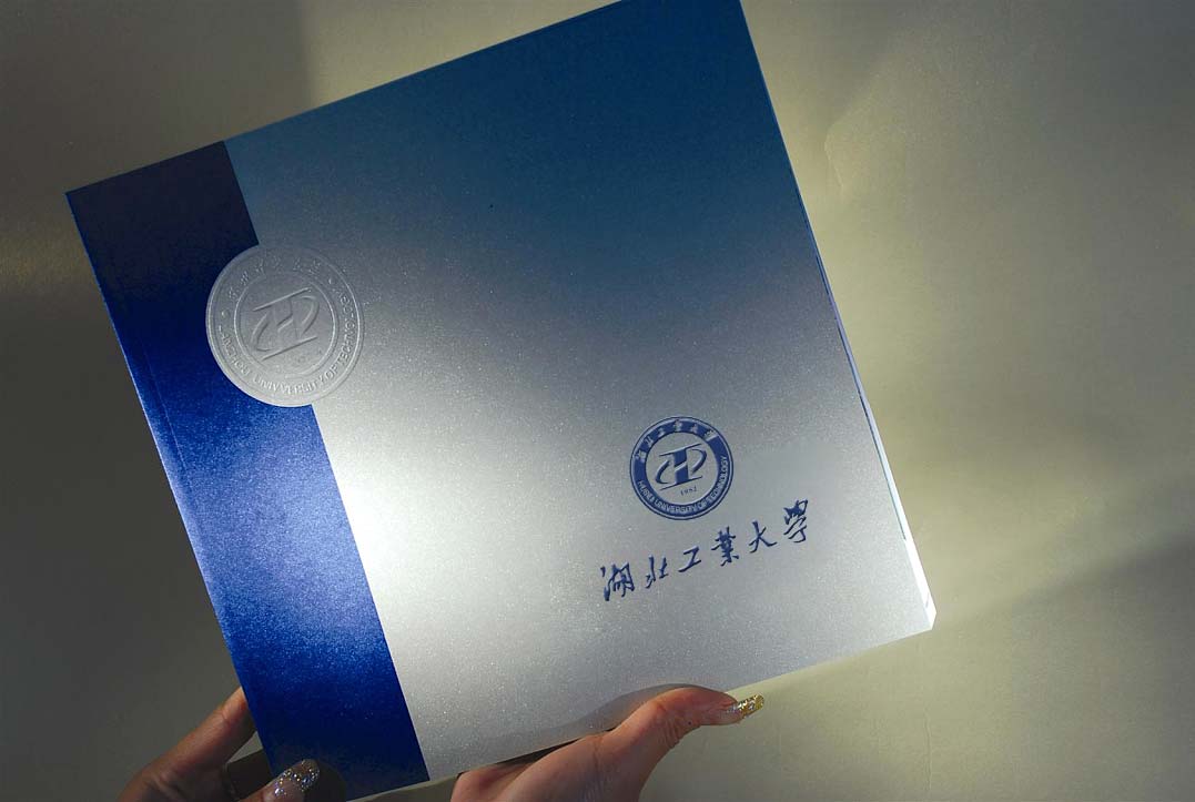 湖北工業(yè)大學(xué)校徽綻放智慧的火花-2