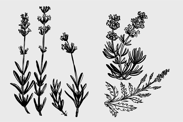 歐洲化工企業(yè)VI設計的匠心調(diào)性-4