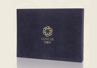 濟南艾麗爾內(nèi)衣品牌標志設計