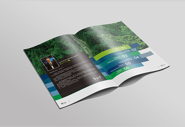 大連百力特開發(fā)礦山畫冊設(shè)計(jì)-2