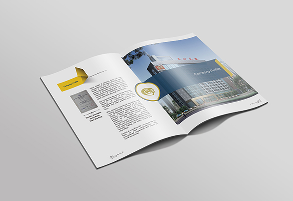 大連百力特開發(fā)礦山畫冊設(shè)計(jì)-3